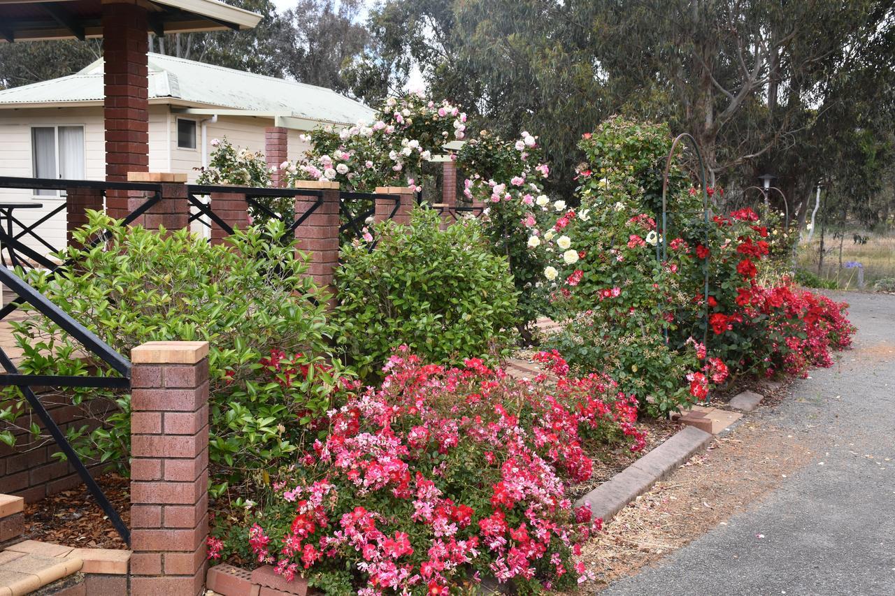 Mount Barker Valley Views Motel&Chalets, Western Australia Exterior foto