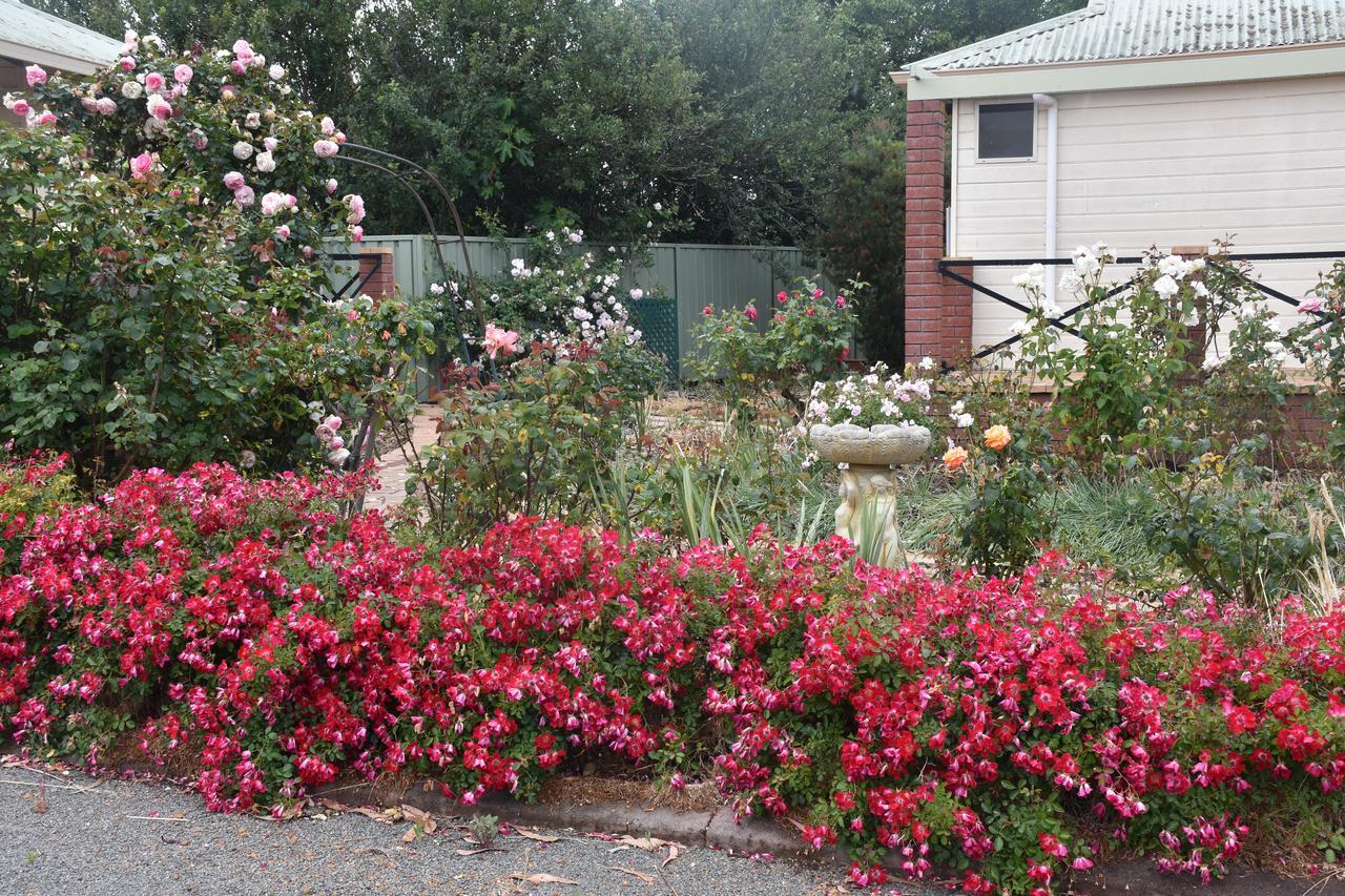 Mount Barker Valley Views Motel&Chalets, Western Australia Exterior foto